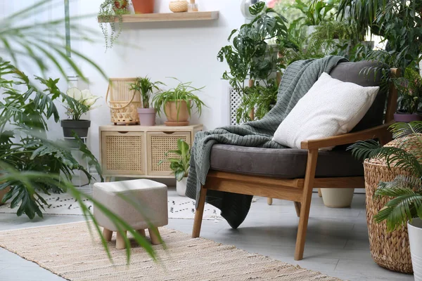 快適なアームチェアと部屋の美しい観葉植物 ラウンジエリア内 — ストック写真