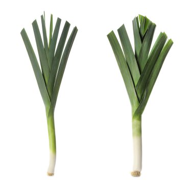 Beyaz arka planda taze çiğ pırasa, kolaj