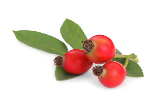 Ripe Rose Hip Berry Leaves White Background — Stok Foto