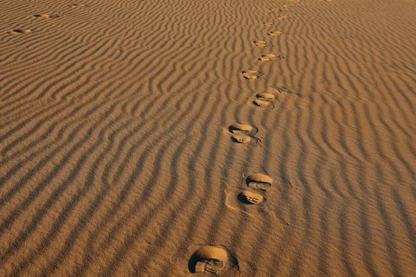 Trail of footprints on sand in desert