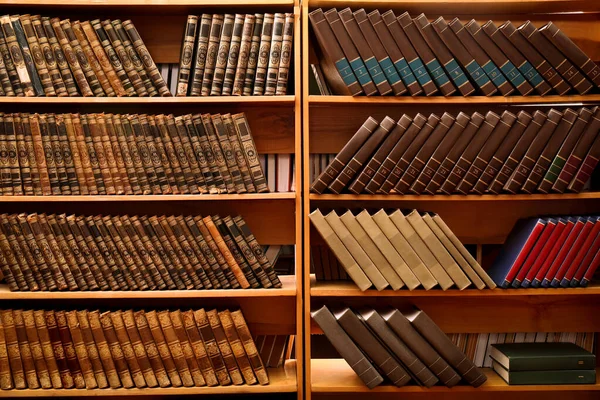 Colección Diferentes Libros Estanterías Biblioteca — Foto de Stock