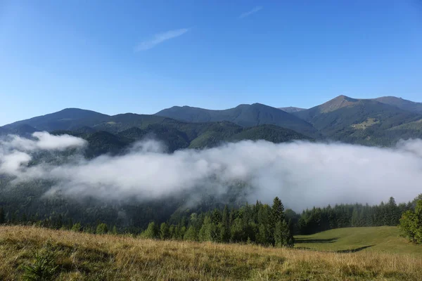 Pintoresca Vista Las Montañas Cubiertas Niebla —  Fotos de Stock