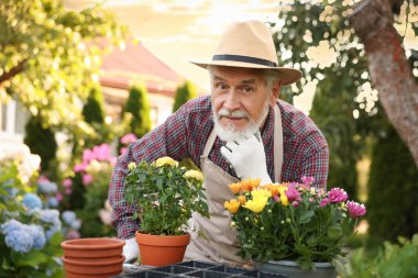 Bahçede saksı çiçekli şapka ve önlüklü yaşlı adamın portresi.
