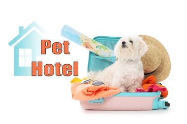 Evcil hayvan oteli. Beyaz arka planda gezginlerle dolu valizli şirin bir Malta köpeği.