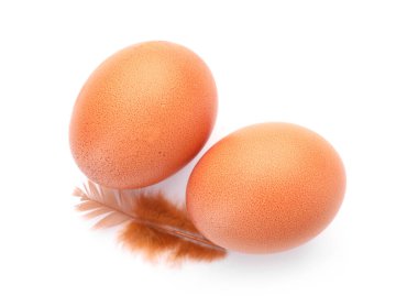 Çiğ tavuk yumurtası ve tüy beyaz, üst manzara
