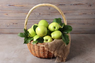 Taze yapraklı olgun yeşil elmalar gri masada sepetin içinde.