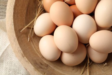 Çiğ tavuk yumurtası ve pipet tabakta, üst tarafta.