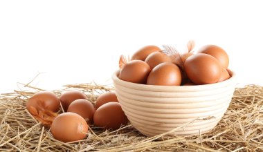 Raw chicken eggs, feathers and bowl on straw against white background