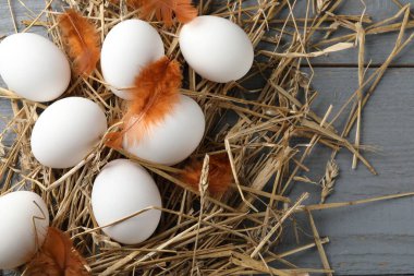 Çiğ tavuk yumurtaları, tüyler ve gri ahşap masa üzerinde saman, düz yatak. Metin için boşluk
