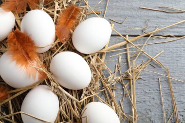 Çiğ tavuk yumurtaları, tüyler ve gri ahşap masa üzerinde saman, düz yatak. Metin için boşluk