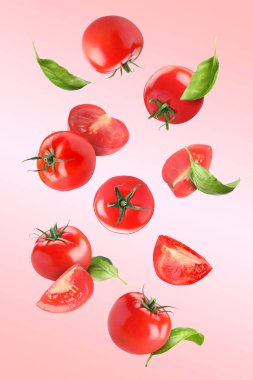 Pembe arkaplanda uçan taze domates ve fesleğen yaprakları.