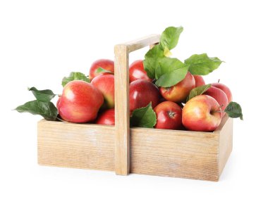 Tahta sepette yeşil yapraklı taze elmalar, beyaz üzerinde izole edilmiş.