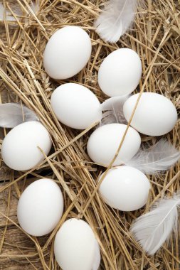 Çiğ tavuk yumurtası, tüy ve saman tahta masada, düz yatıyordu.