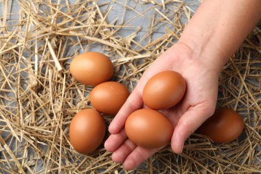Gri ahşap masada çiğ tavuk yumurtası ve saman taşıyan kadın.