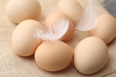 Çiğ tavuk yumurtası ve bej kumaşlı tüyler, yakın plan.