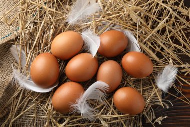 Çiğ tavuk yumurtası, tüy ve saman tahta masada, düz yatıyordu.