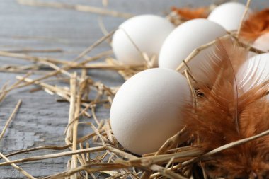 Çiğ tavuk yumurtası, tüy ve saman gri ahşap masada, yakın plan. Metin için boşluk