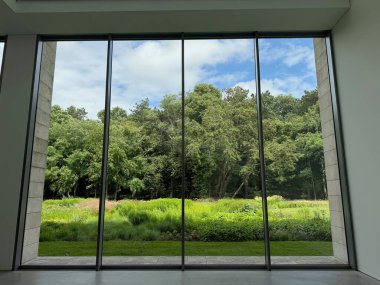 Güzel yeşil ağaçlar ve mavi gökyüzünün altındaki diğer farklı bitkiler, panoramik pencerelerden bakıyorlar.