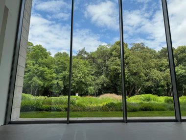 Güzel yeşil ağaçlar ve mavi gökyüzünün altındaki diğer farklı bitkiler, panoramik pencerelerden bakıyorlar.