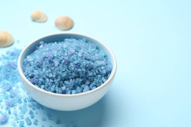 Açık mavi arka planda deniz tuzu ve deniz kabukları, yakın plan. Metin için boşluk