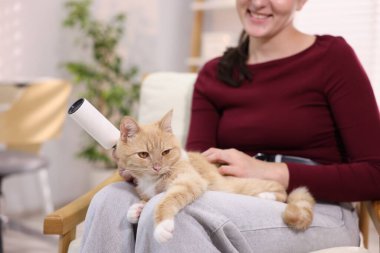 Gülümseyen kadın kedisini koltukta okşuyor, yakın plan.