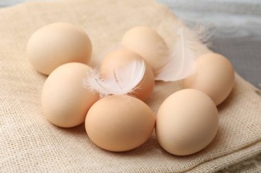 Raw chicken eggs, feathers and cloth on grey table, closeup