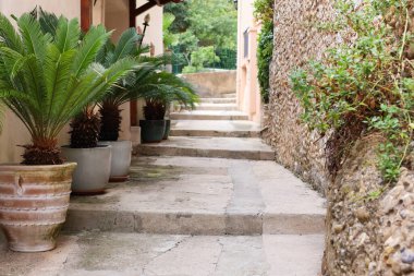 Saksı bitkileriyle dar şehir caddesi manzarası