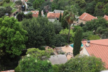 Kırmızı çatıları olan binalar ve dışarıda büyüyen farklı bitkiler, manzaranın üstünde.