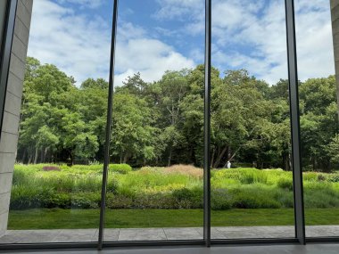 Güzel yeşil ağaçlar ve mavi gökyüzünün altındaki diğer farklı bitkiler, panoramik pencerelerden bakıyorlar.