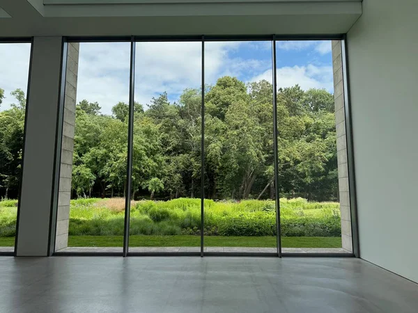 Güzel yeşil ağaçlar ve mavi gökyüzünün altındaki diğer farklı bitkiler, panoramik pencerelerden bakıyorlar.