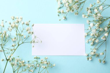 Boş kart ve açık mavi arkaplanda güzel çiçekler, düz uzanmış.