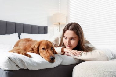 Evcil hayvan dostu otel. Kadın ve sevimli köpeği yatağın içinde