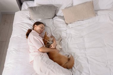 Evcil hayvan dostu otel. Hoş Galli Corgi köpeği ile güzel bir kadın. Kapalı yerde, manzaranın üstünde yatıyordu.