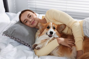 Evcil hayvan dostu otel. Güzel bir kadın yatakta tatlı Galli Corgi köpeğine sarılıyor.