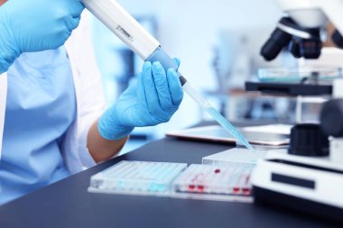 Genetik araştırması. Mikro pipet ve mikro plakalı bilim adamı laboratuarda çalışıyor.