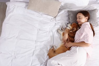 Evcil hayvan dostu otel. Güzel bir kadın, güzel Galli Corgi köpeğiyle yatakta uzanmış, manzaralı. Metin için boşluk