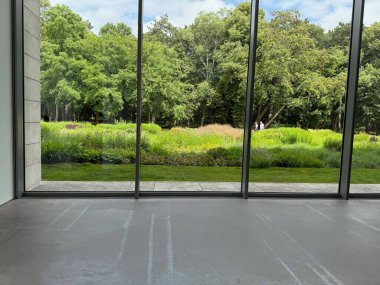 Güzel yeşil ağaçlar ve mavi gökyüzünün altındaki diğer farklı bitkiler, panoramik pencerelerden bakıyorlar.