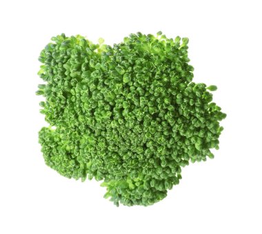 Taze çiğ yeşil brokoli beyaza izole edilmiş.