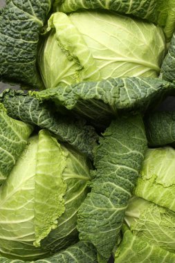 Arka plan olarak taze Savoy lahanaları, yakın plan