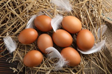 Çiğ tavuk yumurtası, tüy ve saman tahta masada, düz yatıyordu.