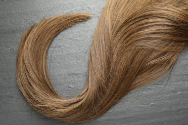 Beautiful hair strand on grey background, top view