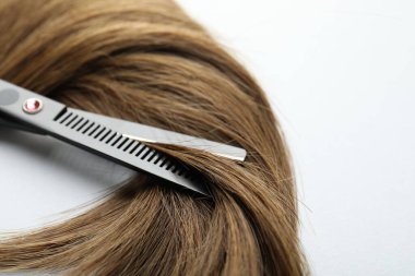 Beyaz arka planda güzel saç teli ve makas, yakın plan.