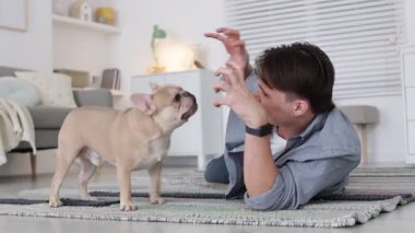 Evde oynayan sevimli Fransız buldoguyla bir adam.
