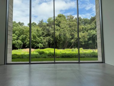 Güzel yeşil ağaçlar ve mavi gökyüzünün altındaki diğer farklı bitkiler, panoramik pencerelerden bakıyorlar.