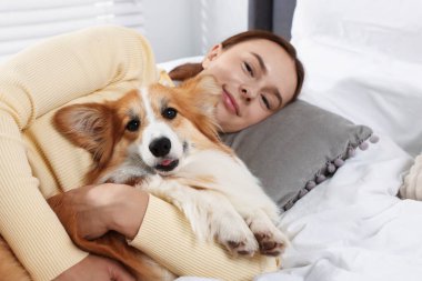Evcil hayvan dostu otel. Güzel bir kadın yatakta tatlı Galli Corgi köpeğine sarılıyor.