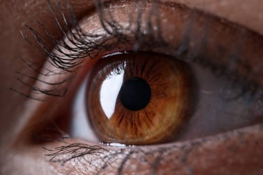 Makro manzaralı güzel gözlü kadın, yakın plan.