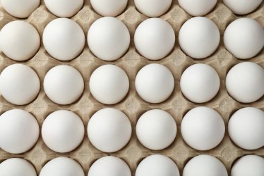 Yumurta kartonunda çiğ tavuk yumurtası, üst manzara.