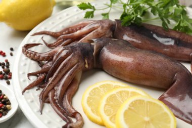 Raw squids, lemon and other products on white marble table, closeup