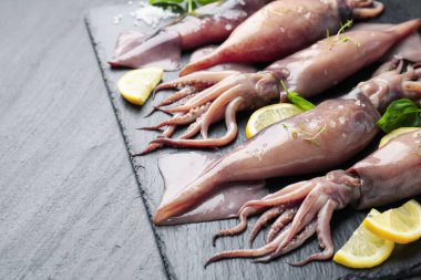 Raw squids, lemon and basil on black table, closeup. Space for text