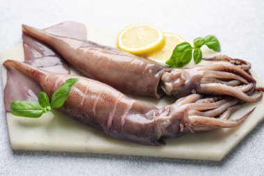 Raw squids, lemon and basil on light grey table, closeup